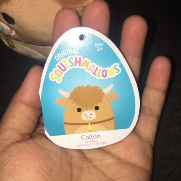 Squishmallow calton 🧡 - Picture 4 of 4